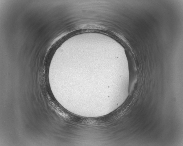 X0000078880971200612111735