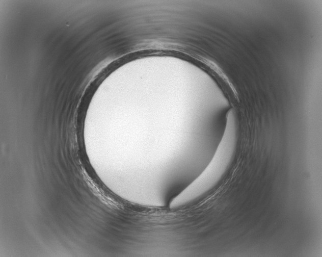 X0000078880972200612111735