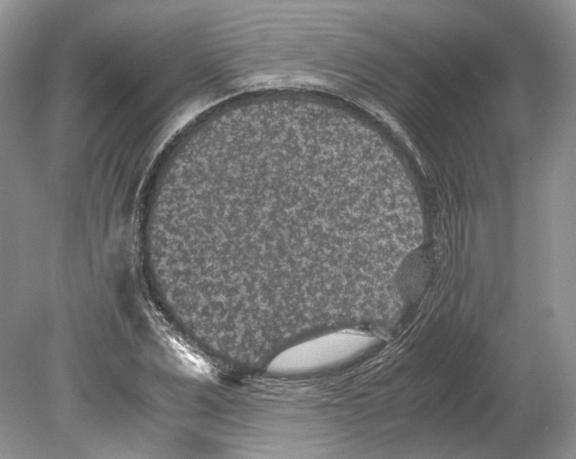 X0000078880975200612111735