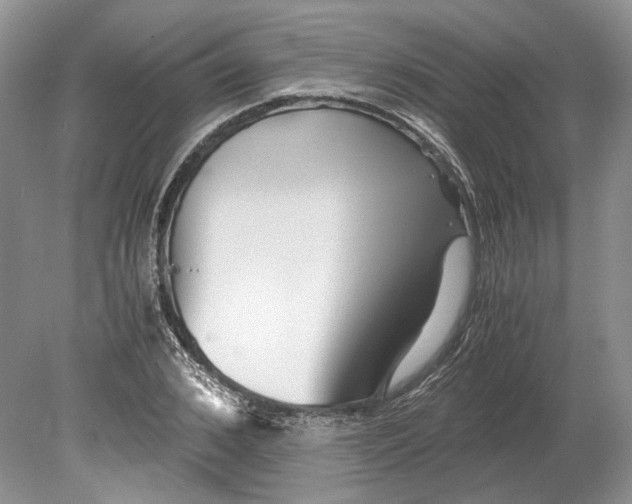 X0000078880976200612111735