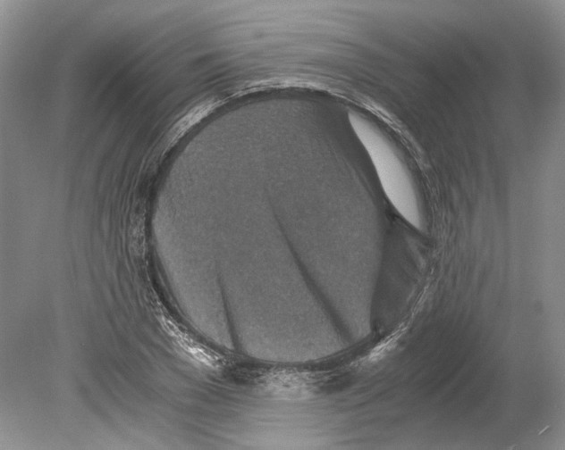 X0000078880977200612111735