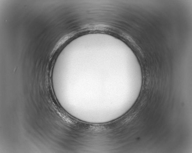 X0000078880978200612111735