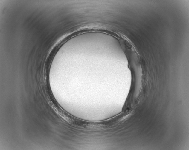 X0000078880981200612111735