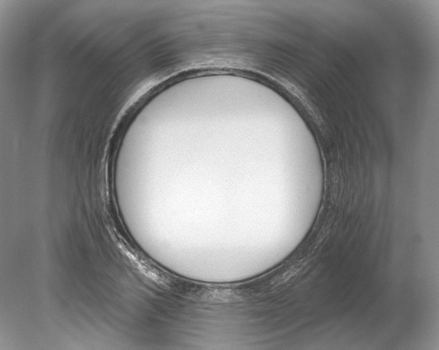 X0000078880982200612111735