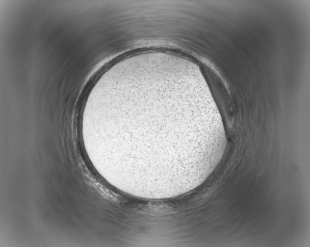 X0000078880983200612111735