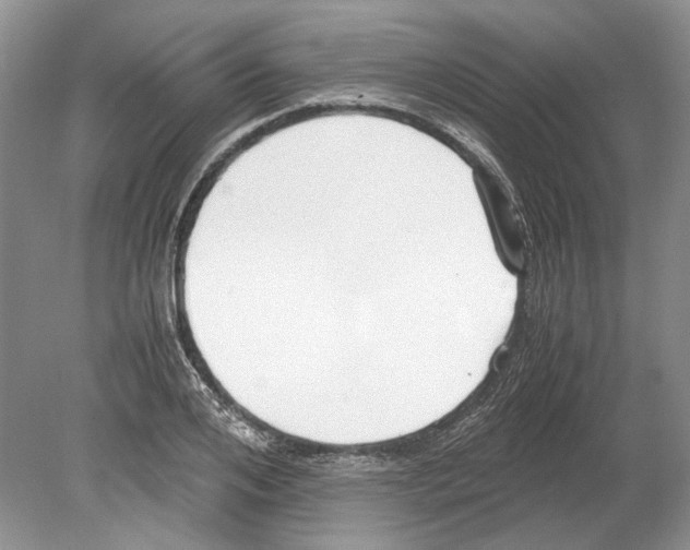 X0000078880984200612111735