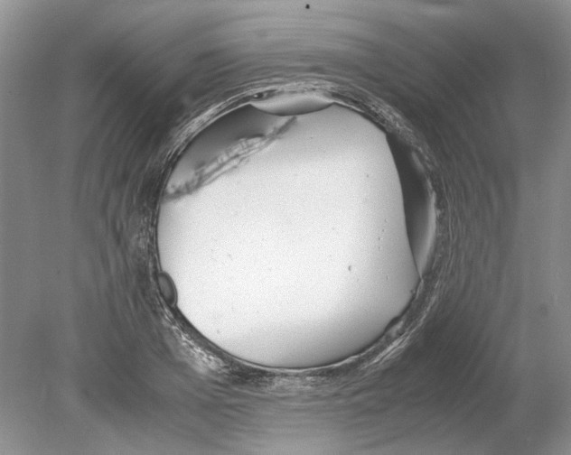 X0000078880985200612111735