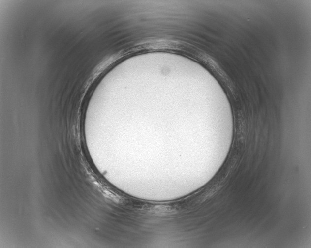 X0000078880986200612111735