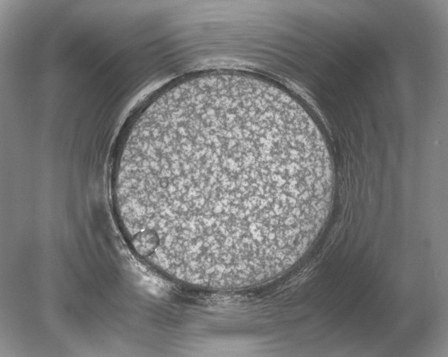 X0000078880987200612111735