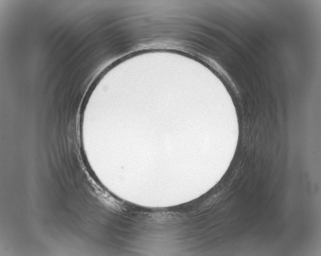 X0000078880988200612111735