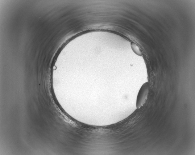 X0000078880992200612111735