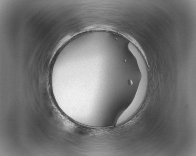 X0000078880997200612111735