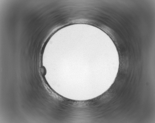 X0000078881000200612111735