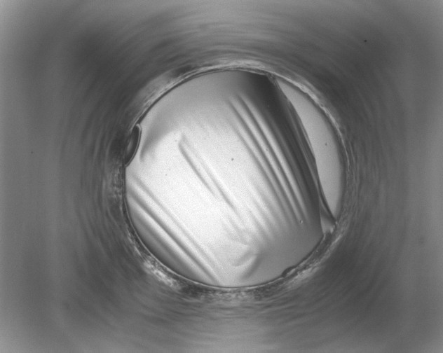 X0000078881001200612111734