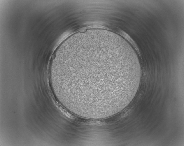 X0000078881002200612111734