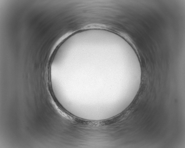 X0000078881003200612111734