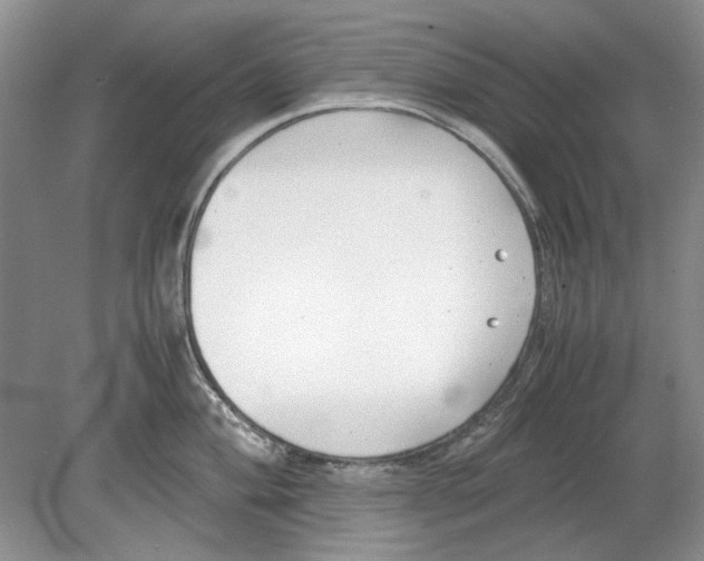 X0000078881004200612111734