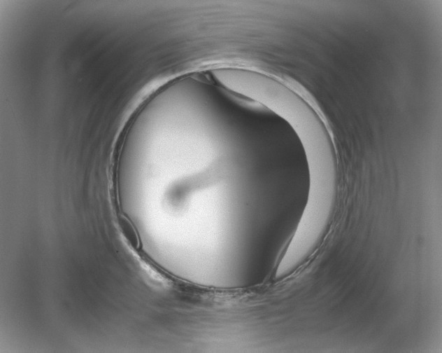 X0000078881005200612111734