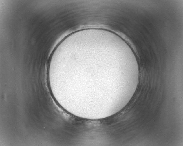 X0000078881006200612111734