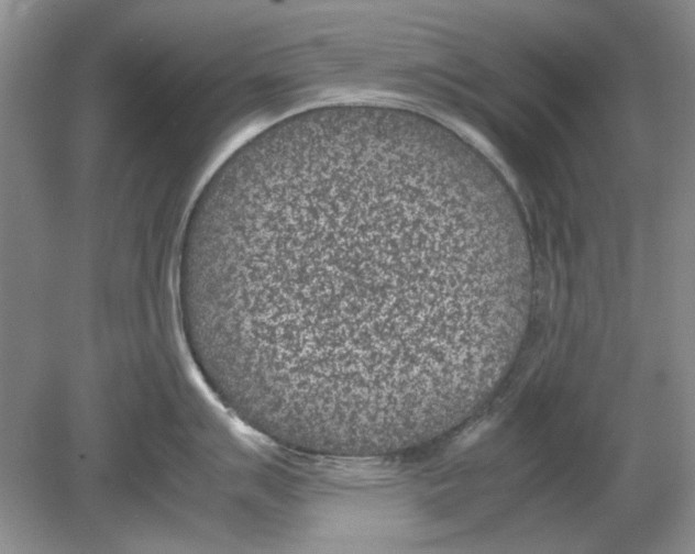 X0000078881007200612111734