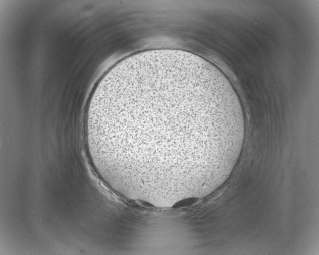 X0000078881008200612111734