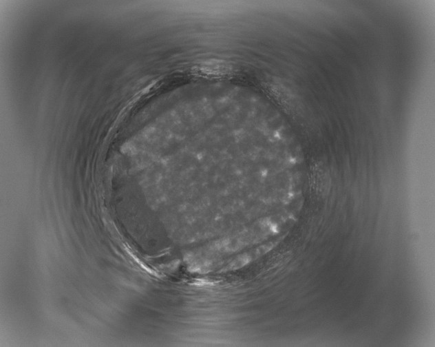 X0000078881009200612111734