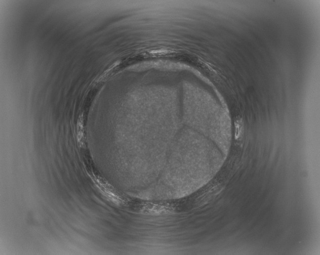 X0000078881011200612111734