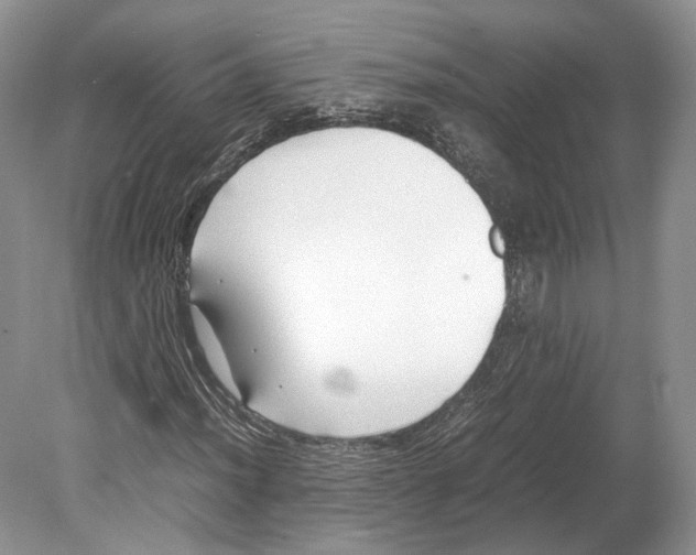 X0000078881012200612111734