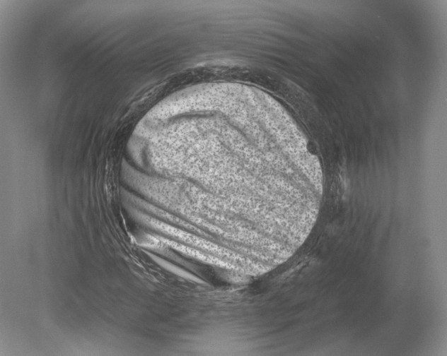 X0000078881014200612111734