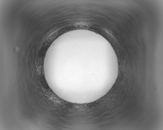 X0000078881015200612111734