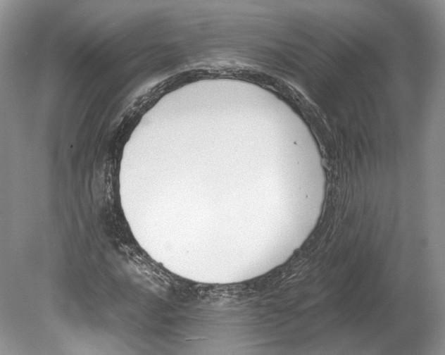 X0000078881016200612111734