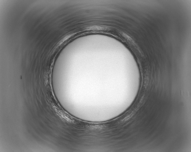 X0000078881017200612111734