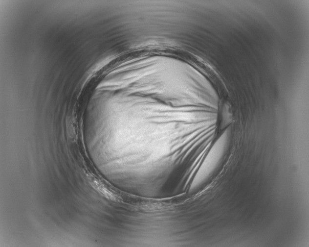 X0000078881018200612111734