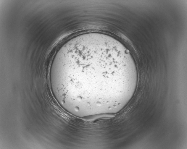 X0000078881019200612111734