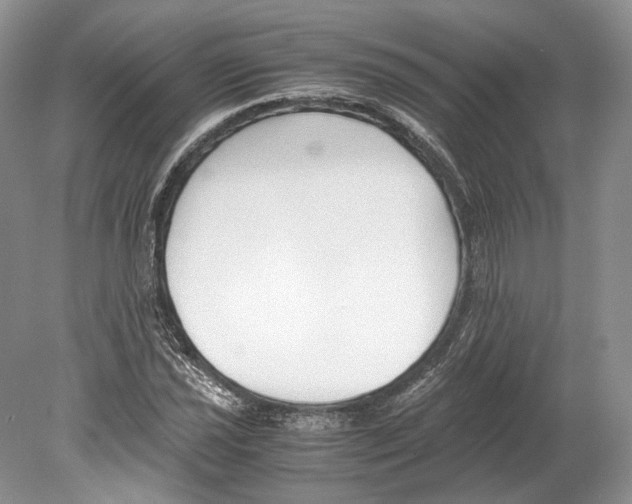 X0000078881021200612111734