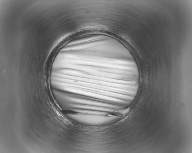 X0000078881022200612111734