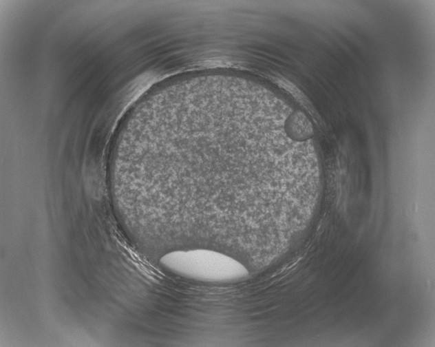 X0000078881023200612111734