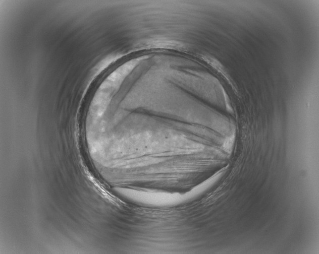 X0000078881024200612111734