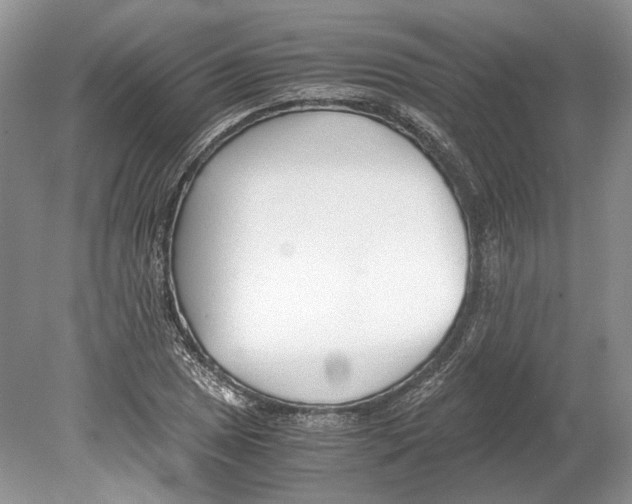 X0000078881025200612111734