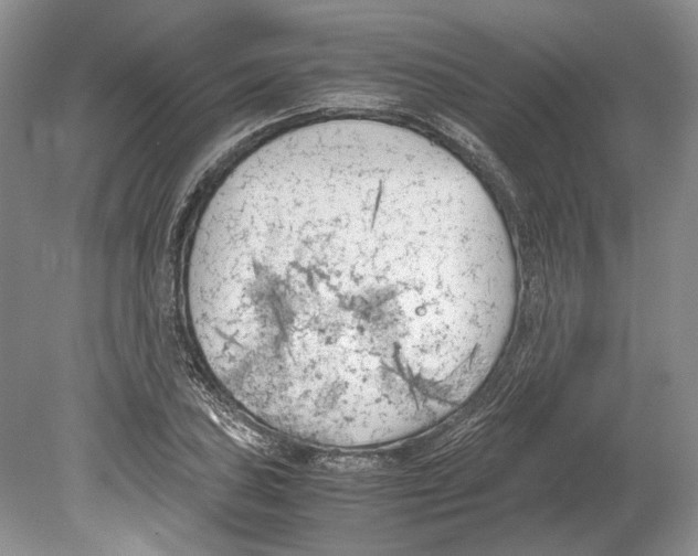 X0000078881027200612111734