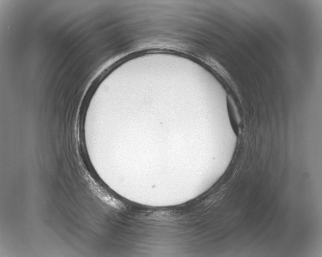 X0000078881028200612111734