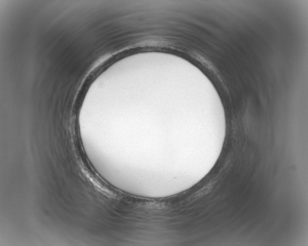 X0000078881029200612111734