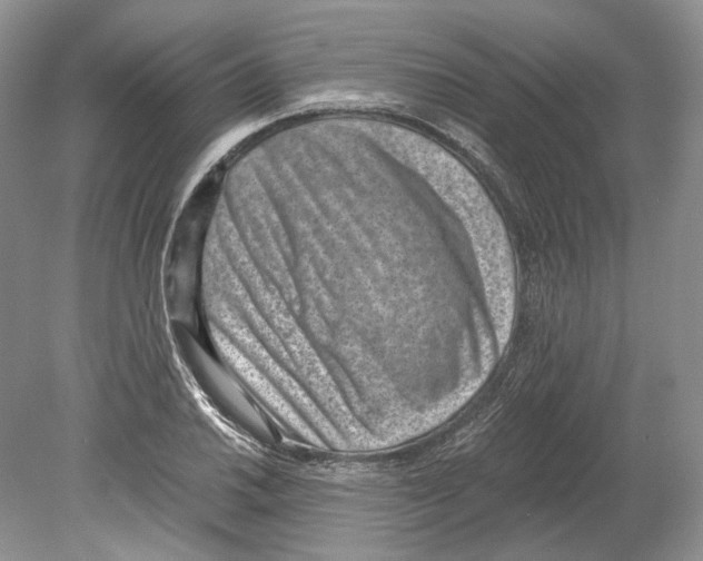 X0000078881030200612111734