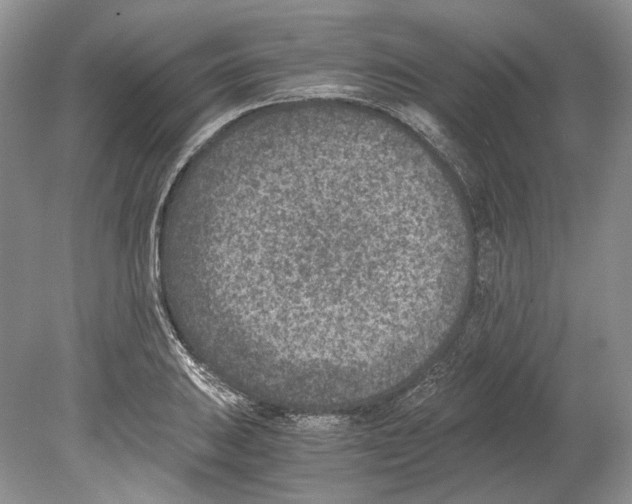 X0000078881031200612111734