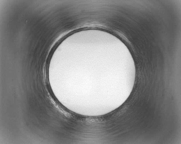 X0000078881032200612111734