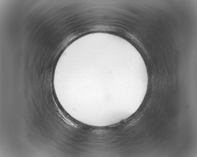 X0000078881033200612111734