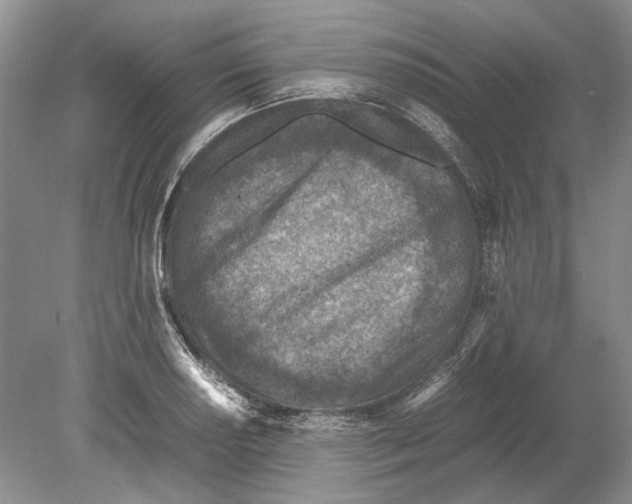 X0000078881034200612111734