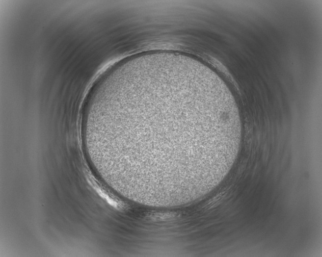 X0000078881035200612111734