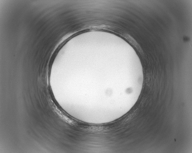 X0000078881036200612111734