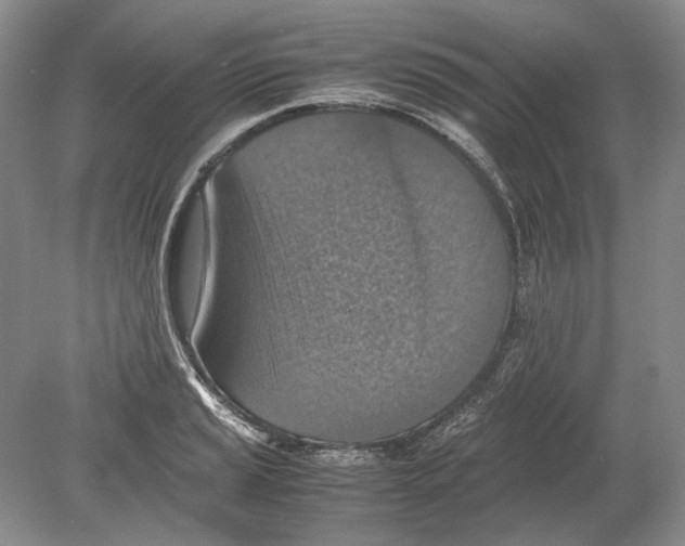 X0000078881037200612111734